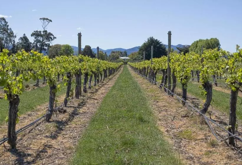 Fotos del hotel St Leonards Vineyard Cottages:  7