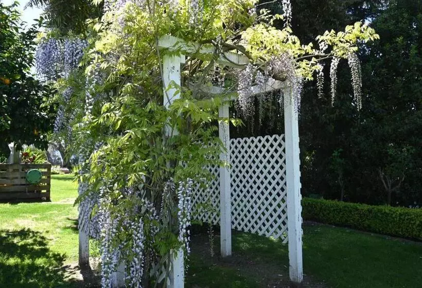 Fotos del hotel St Leonards Vineyard Cottages:  25