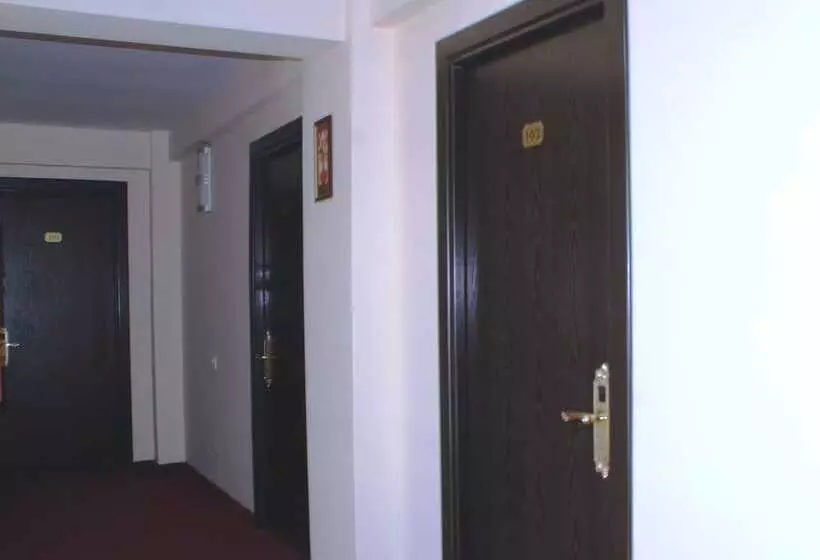 Fotos del hotel Ancor:  16