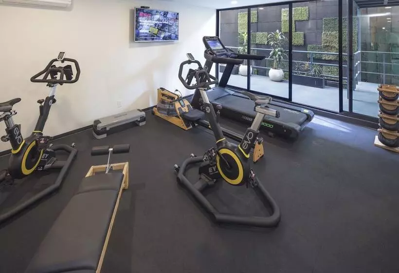 Fotos del hotel Flowsuites Condesa  Adults Only:  3