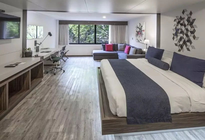 Fotos del hotel Flowsuites Condesa  Adults Only:  15