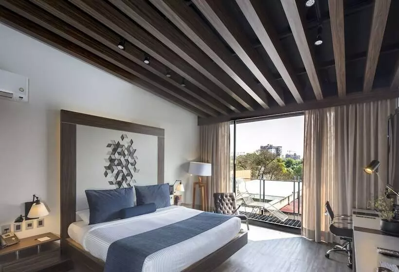 Fotos del hotel Flowsuites Condesa  Adults Only:  19