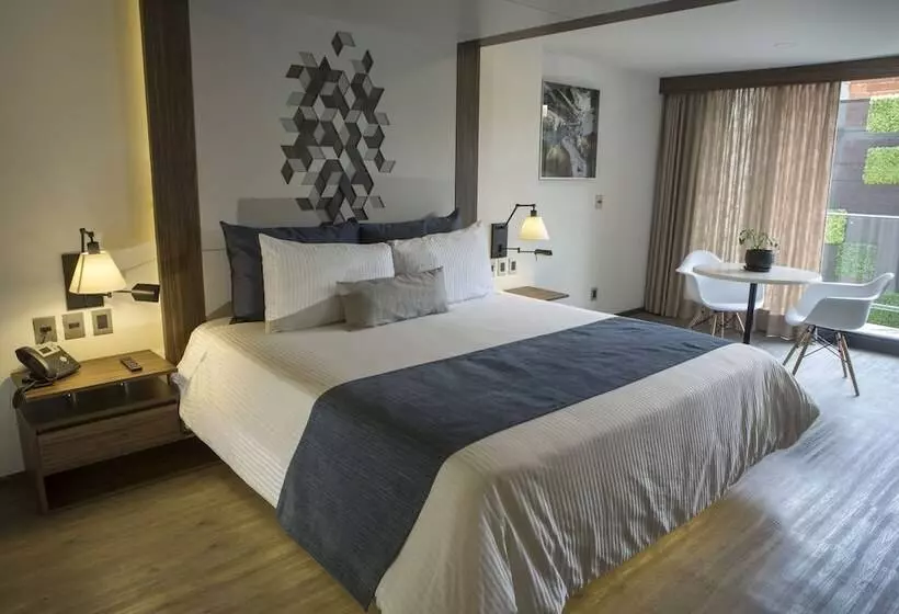 Fotos del hotel Flowsuites Condesa  Adults Only:  22