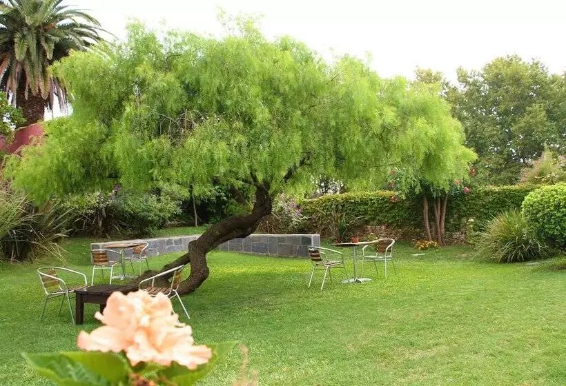 Fotos del hotel Posada El Capullo:  20