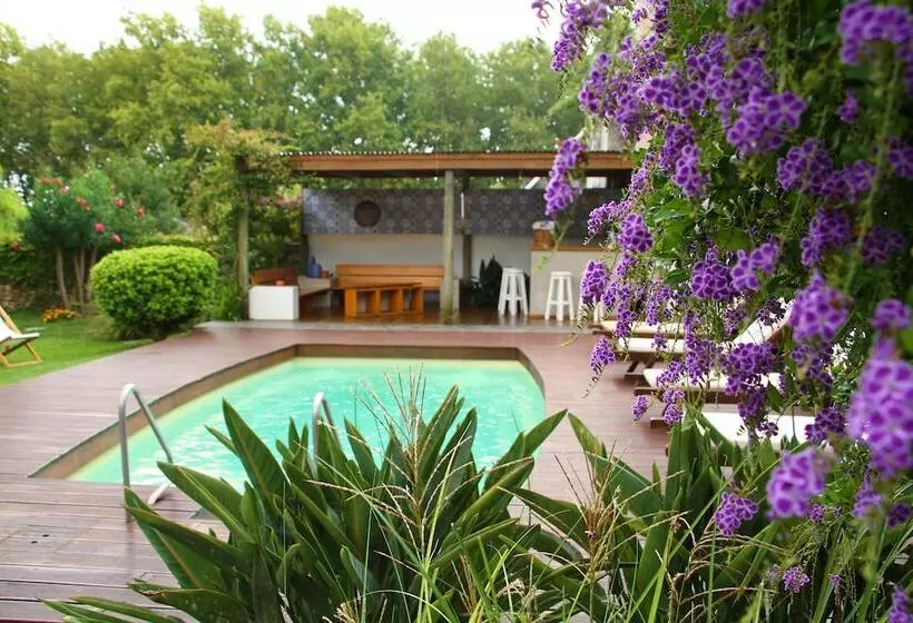 Fotos del hotel Posada El Capullo:  17