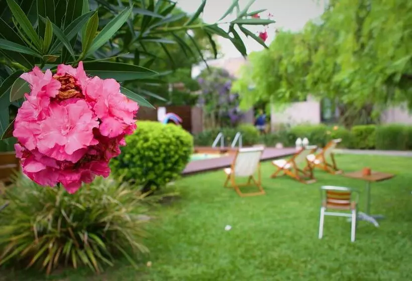 Fotos del hotel Posada El Capullo:  18