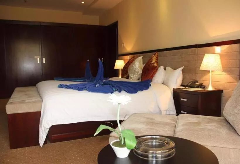 Fotos del hotel Soluxe Cairo:  1