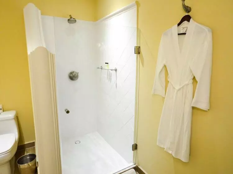 Fotos del hotel Boutique Casa Del Jardín Aguascalientes:  11