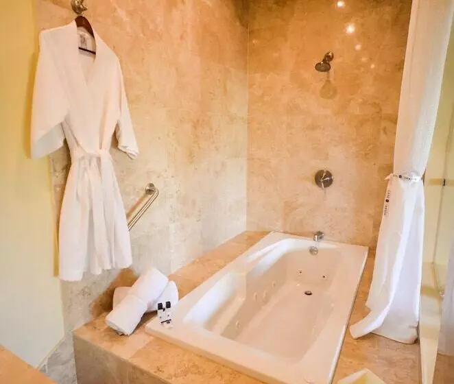 Fotos del hotel Boutique Casa Del Jardín Aguascalientes:  23