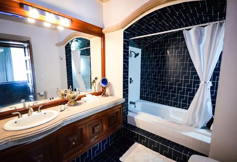 Fotos del hotel Boutique Casa Del Jardín Aguascalientes:  22