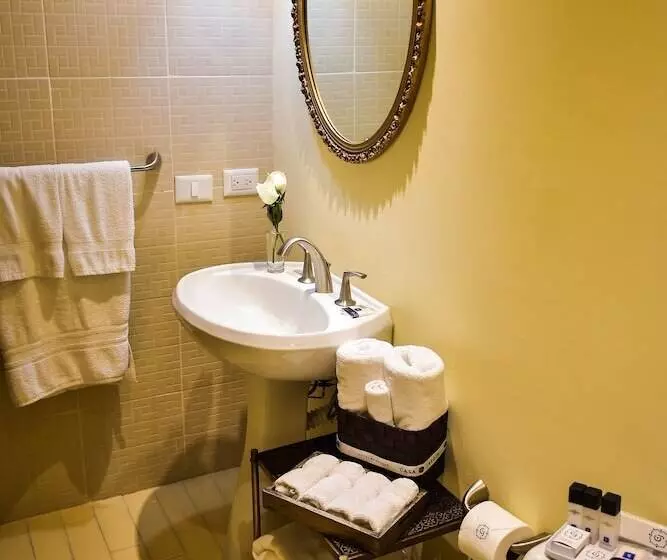 Fotos del hotel Boutique Casa Del Jardín Aguascalientes:  15