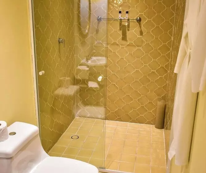 Fotos del hotel Boutique Casa Del Jardín Aguascalientes:  24