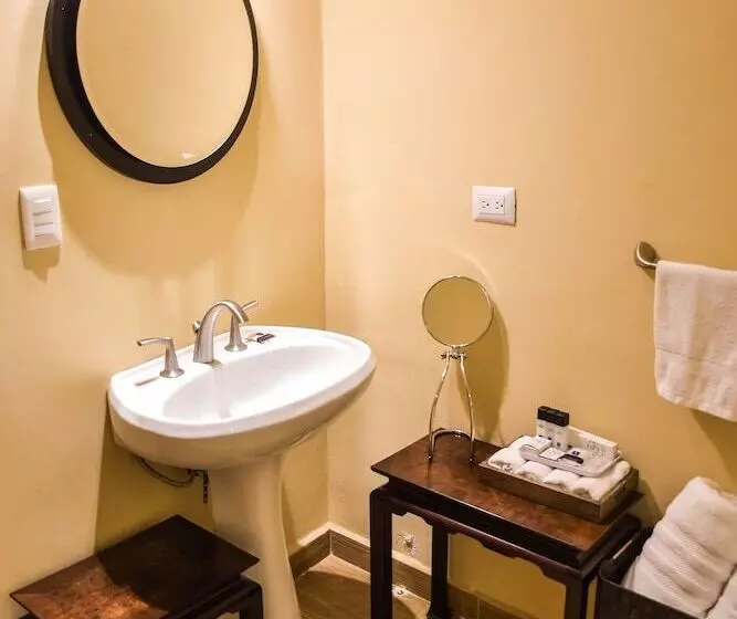 Fotos del hotel Boutique Casa Del Jardín Aguascalientes:  20