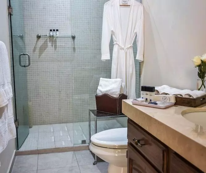 Fotos del hotel Boutique Casa Del Jardín Aguascalientes:  25