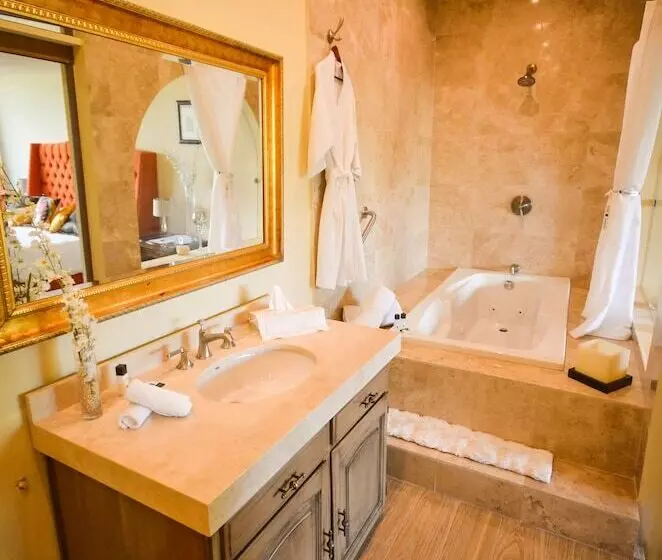 Fotos del hotel Boutique Casa Del Jardín Aguascalientes:  6