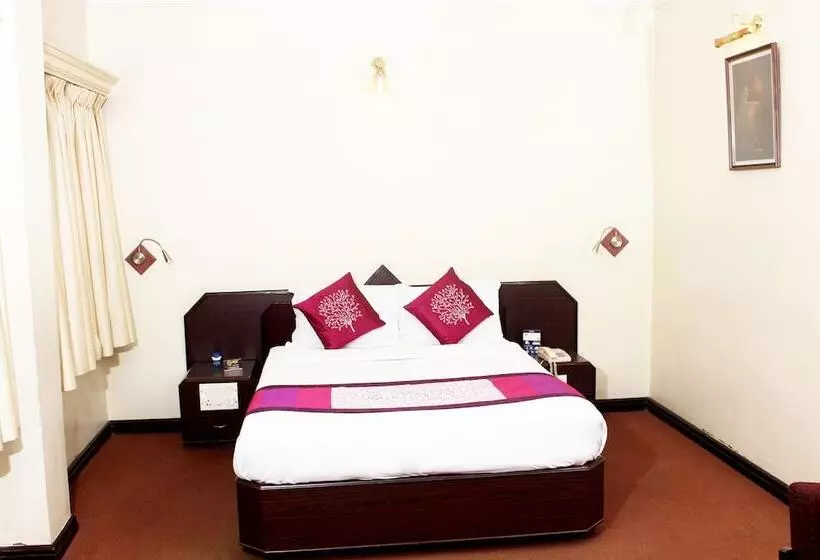 Fotos del hotel Oyo Premium Mysore Krs Road:  11