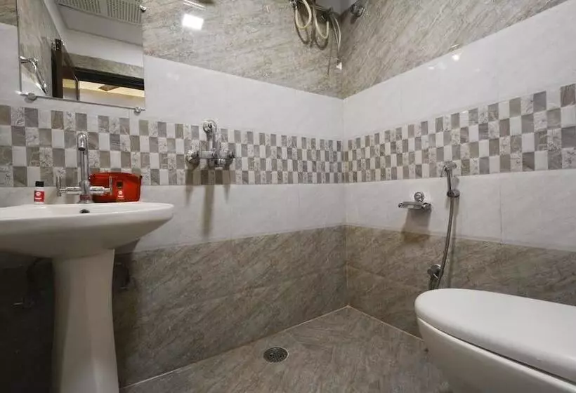 Fotos del hotel The Hotel Swastik Inn:  7