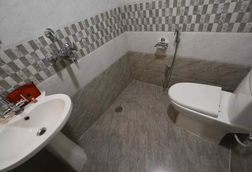 Fotos del hotel The Hotel Swastik Inn:  3