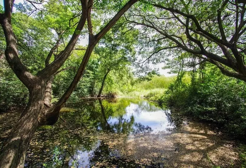 Fotos del hotel Ban Sabaidee:  14