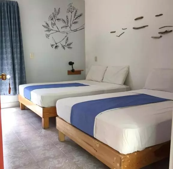 Un Sueño Valle De Huajes