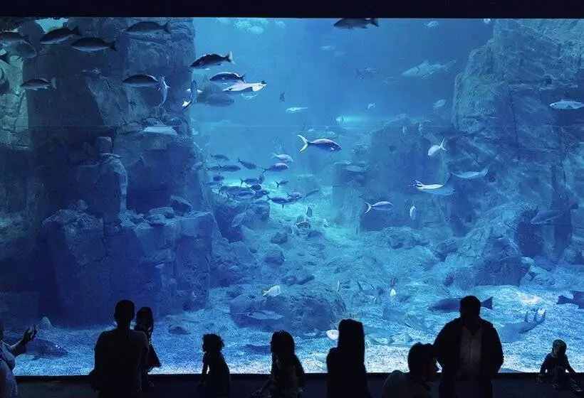 Fotos del hotel Crowne Plaza Istanbul Florya, An Ihg:  8