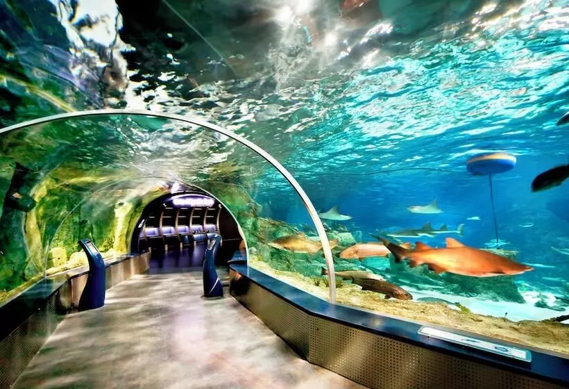 Fotos del hotel Crowne Plaza Istanbul Florya, An Ihg:  2