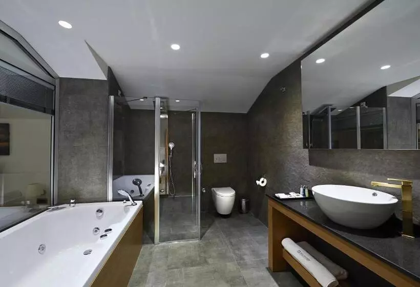 Fotos del hotel Milport  Levent Istanbul:  14