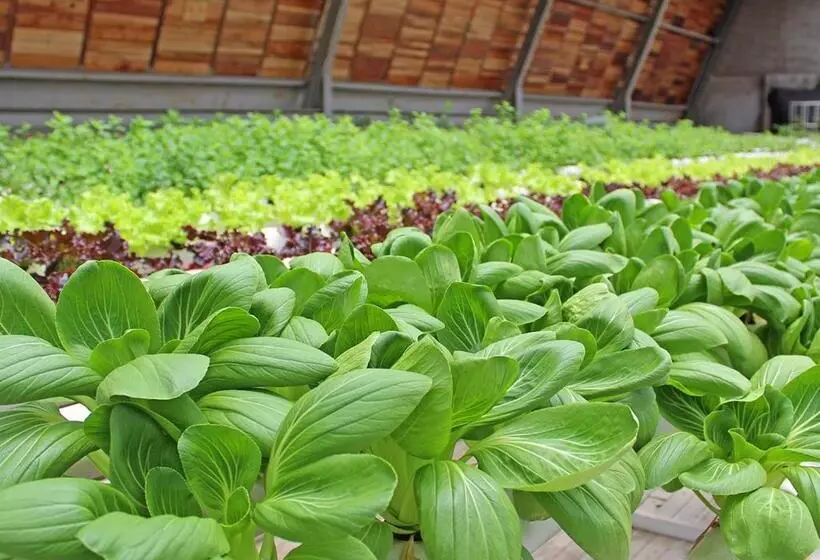 Fotos del hotel Greenhost Boutique Hotel Prawirotaman:  13