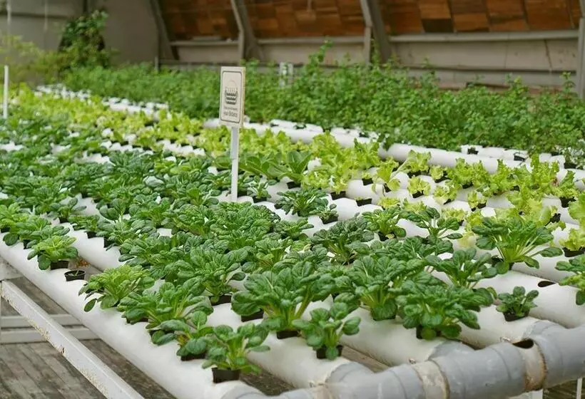 Fotos del hotel Greenhost Boutique Hotel Prawirotaman:  8