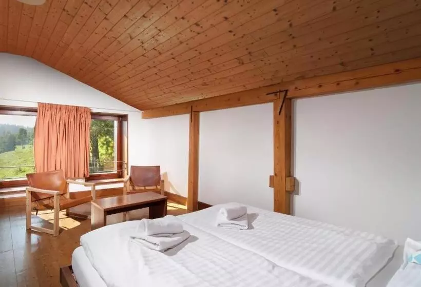 Fotos del hotel Adam:  24