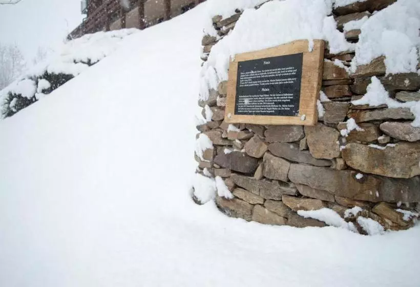 Fotos del hotel Adam:  10