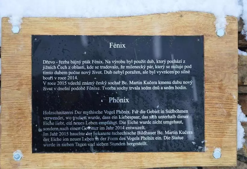 Fotos del hotel Adam:  6