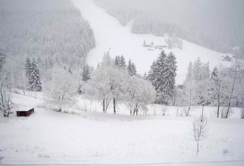 Fotos del hotel Adam:  22