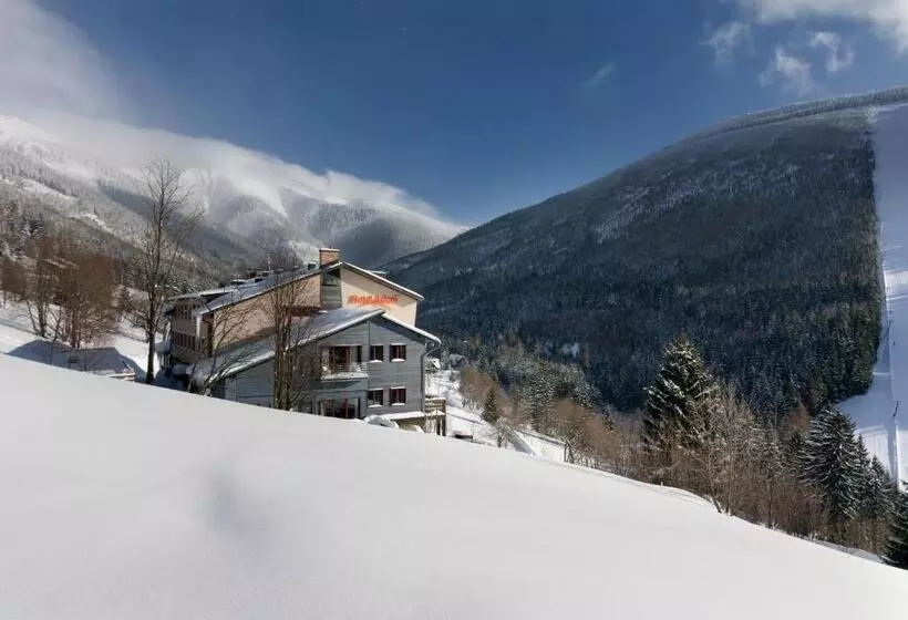 Fotos del hotel Adam:  20