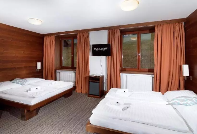 Fotos del hotel Adam:  19