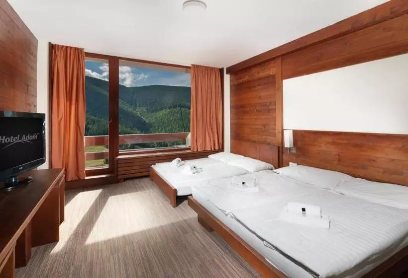 Fotos del hotel Adam:  25