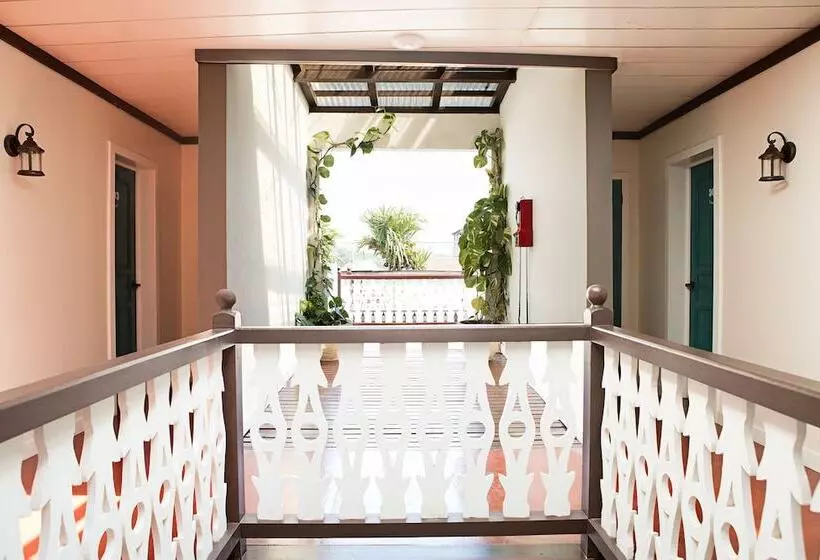 Fotos del hotel Isla De Flores:  4