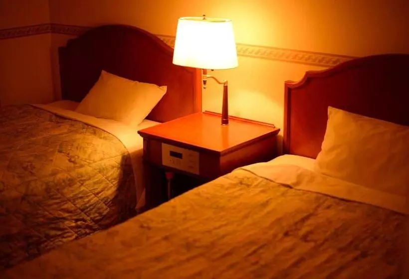 Fotos del hotel Bel Air Sendai:  23