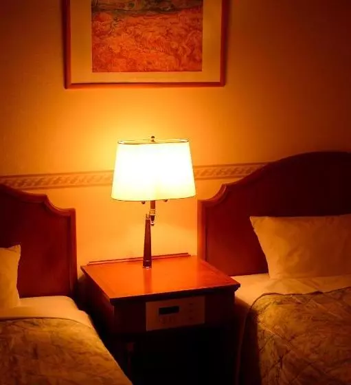 Fotos del hotel Bel Air Sendai:  25