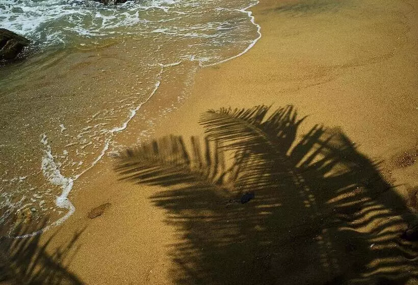 Fotos del hotel La Veranda Di Serena:  6