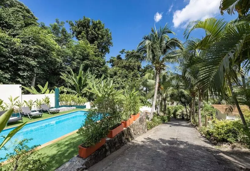 Fotos del hotel Sea Hills Resort:  21