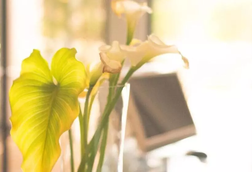 Fotos del hotel Blue Diamond Boutique:  18