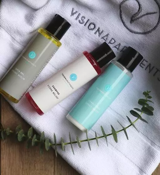 Fotos del hotel Ibis Styles Geneve Mont Blanc:  8