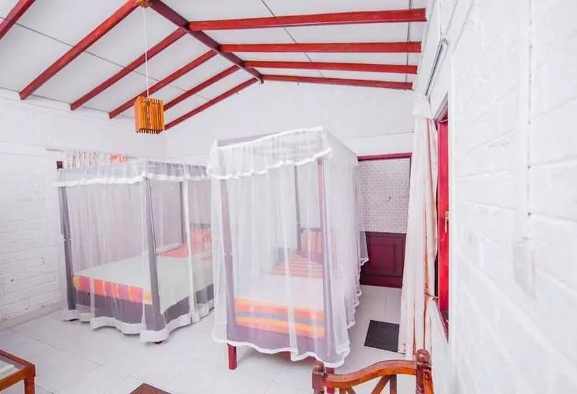 Fotos del hotel Latheena Resort:  6