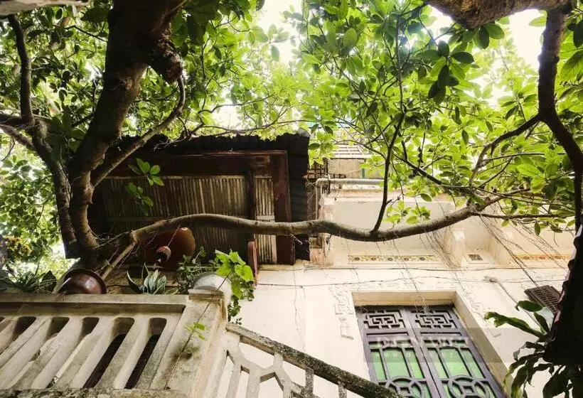 Fotos del hotel Noble & Swan Boutique:  8