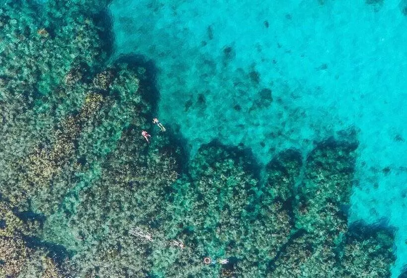 Fotos del hotel Tranquilseas Eco Lodge & Dive Center:  15