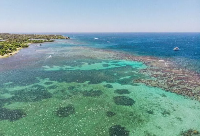 Fotos del hotel Tranquilseas Eco Lodge & Dive Center:  7