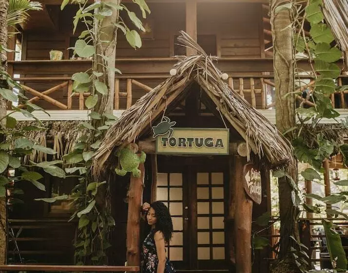 Fotos del hotel Tranquilseas Eco Lodge & Dive Center:  2