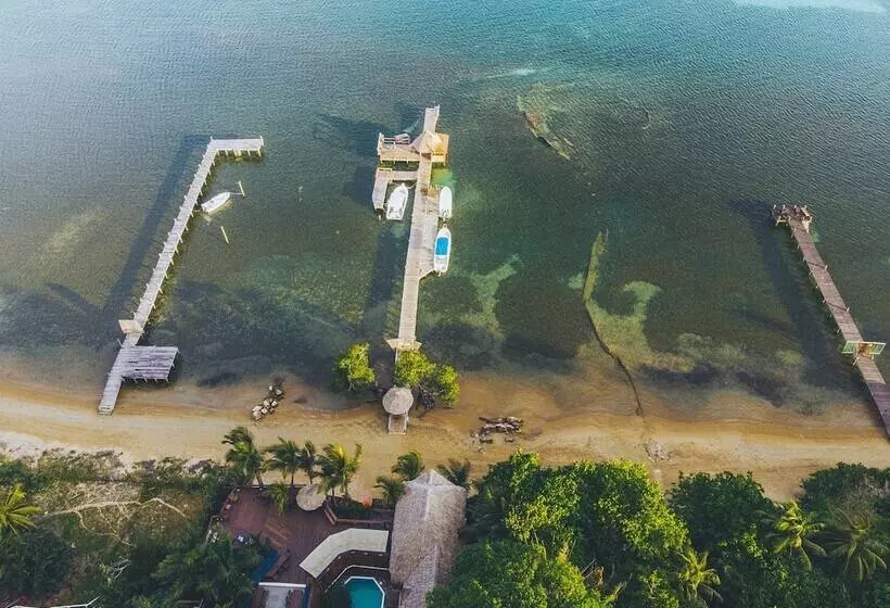 Fotos del hotel Tranquilseas Eco Lodge & Dive Center:  11