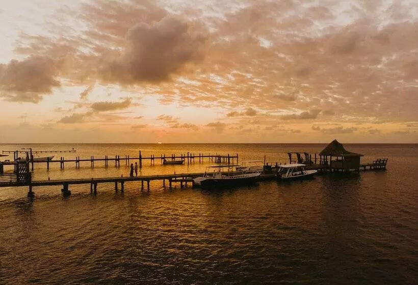 Fotos del hotel Tranquilseas Eco Lodge & Dive Center:  12